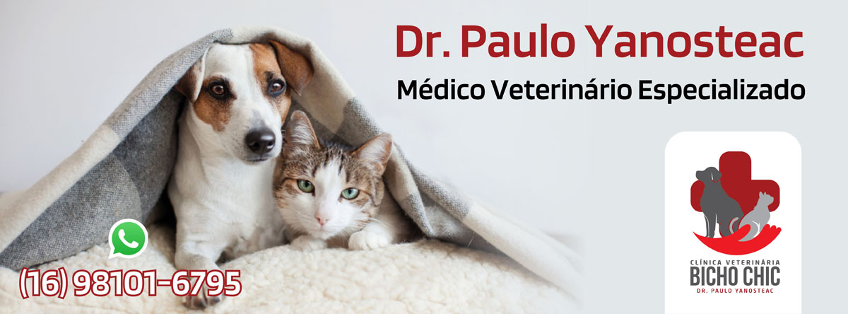 Veterinário
